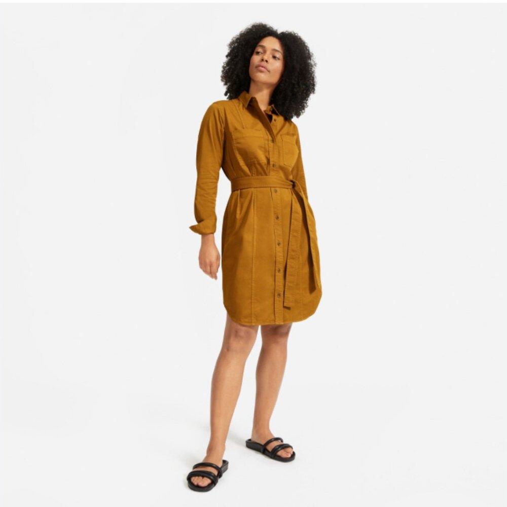 Everlane The Modern Utility Dress, Size 10, Mustard
